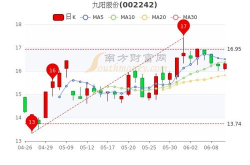 九阳股份股票,2023年5月28日最新动态解析